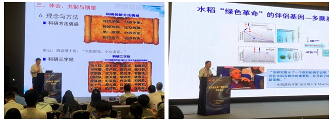 光影魔術手拼圖1.jpg
