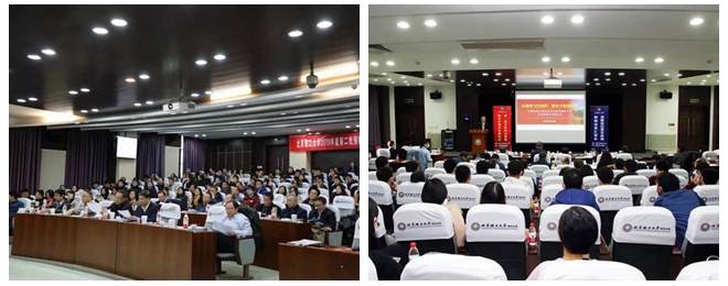 光影魔術手拼圖.jpg